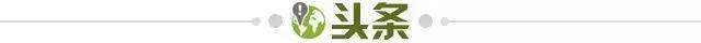 IM电竞亚洲首选-【早报】热刺这赛季的冠军梦又提前凉了?